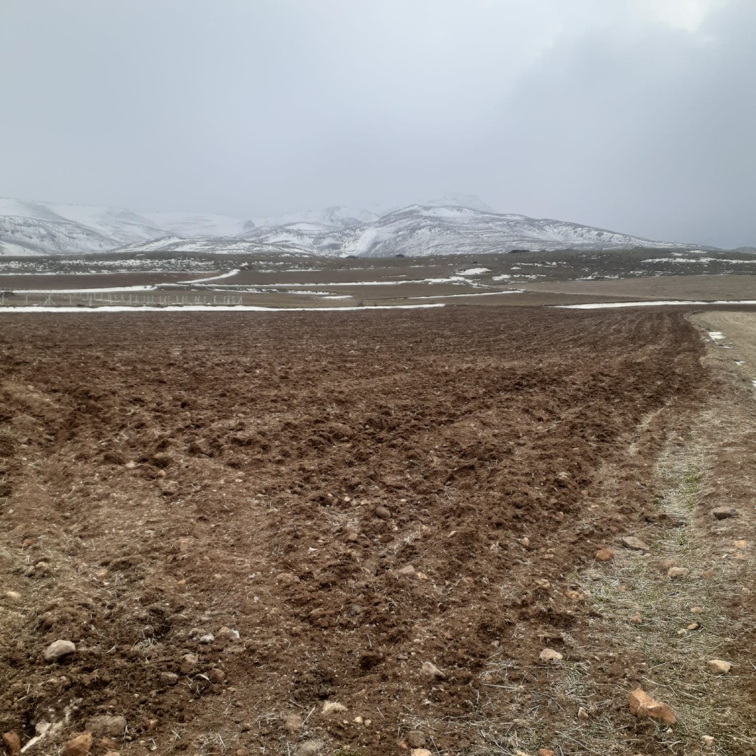 KAYSERİ DEVELİ YEDEK MAHALLESİ ŞARÖNÜ MEVKİİNDE SATILIK TARLA